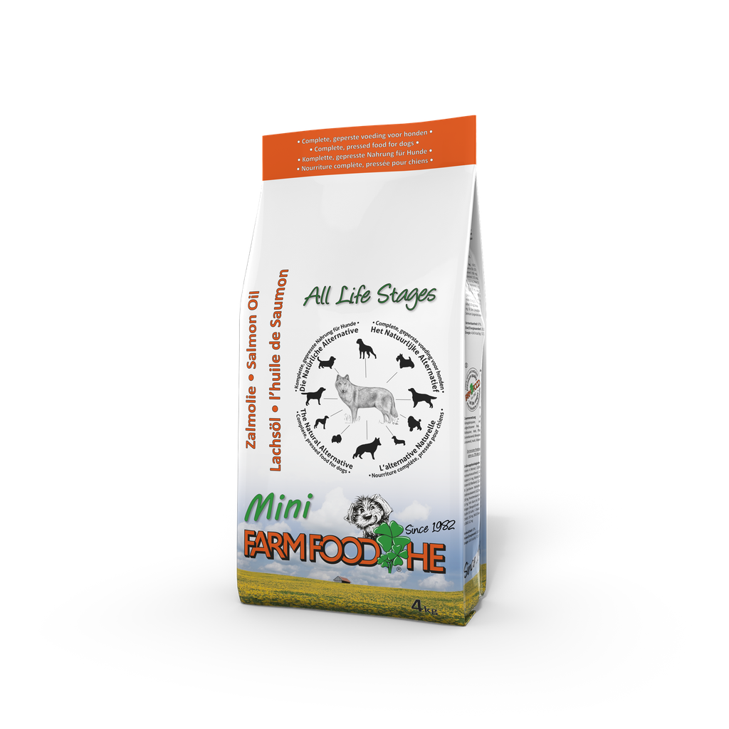 HE Lachs 4 x 4 kg mini
