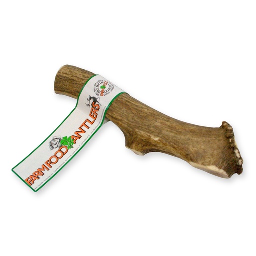 [16004-1] Antler L (12 pcs)