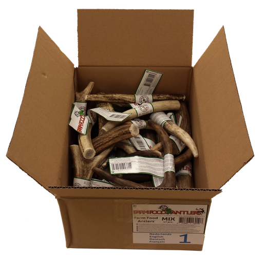 [16010-1] Antler mix (17 pcs)