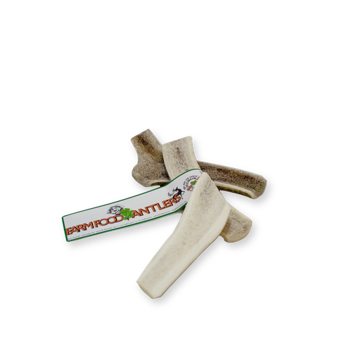 [16012-1] Antler Easy S (12 pcs)