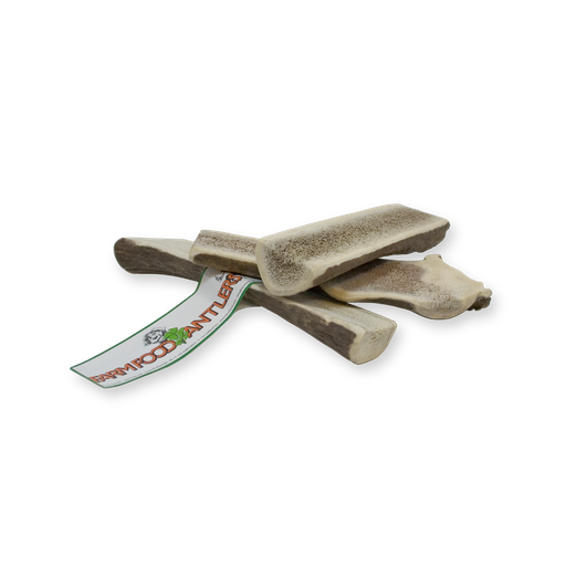 [16013-1] Antler Easy M (12pcs)