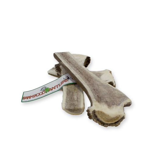 [16015-1] Antler Easy XL (10 pcs)